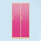 2 door metal locker