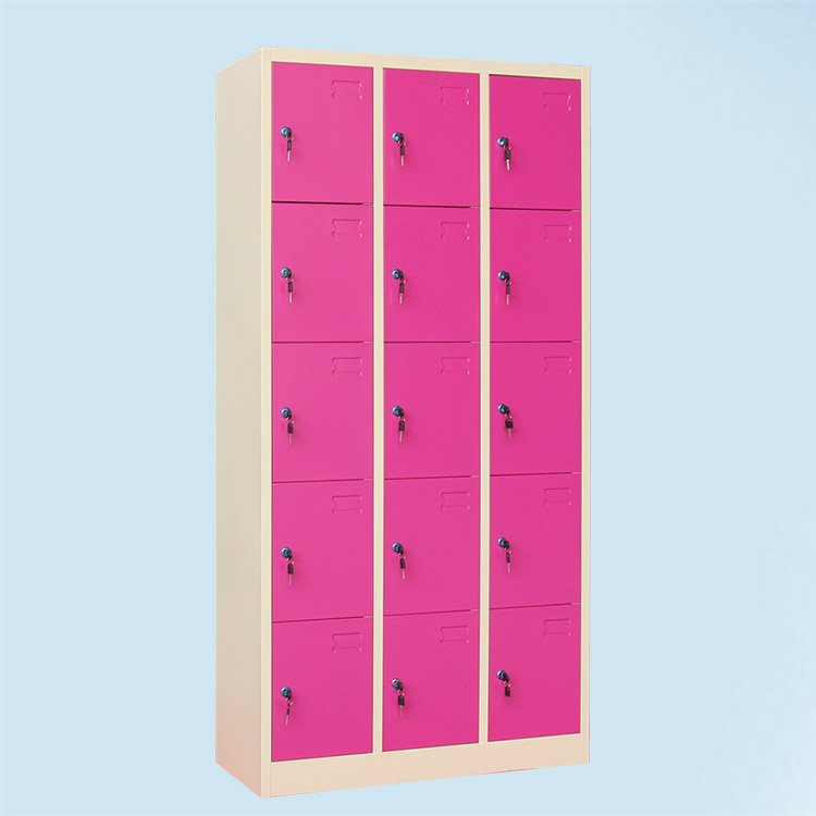 Steel 15 door locker